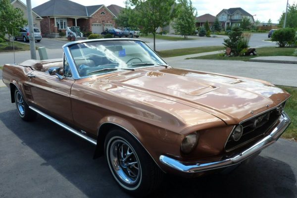 1967_Ford_Mustang_Gold