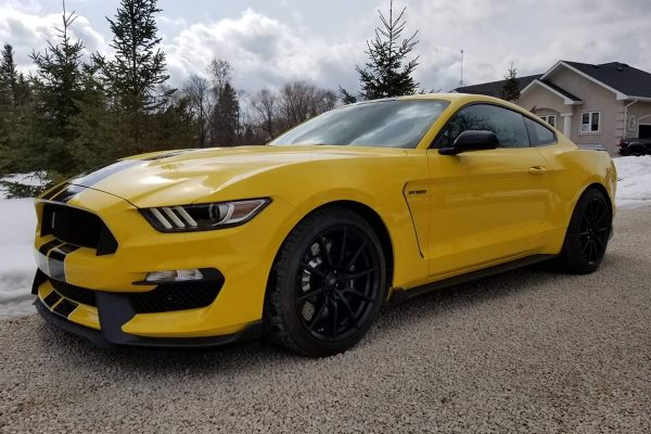 2016_Ford_Shelby_Yellow